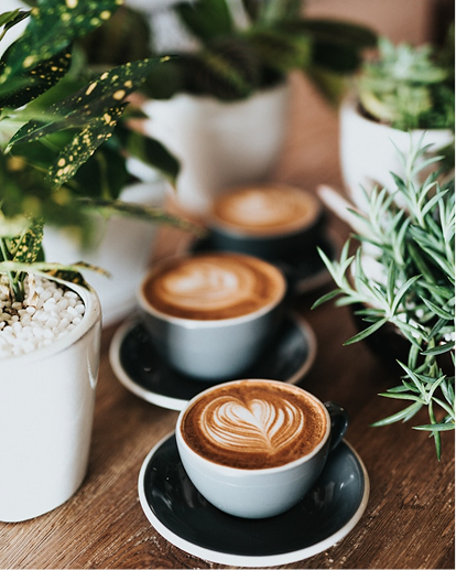 House-made pasta with island herbs